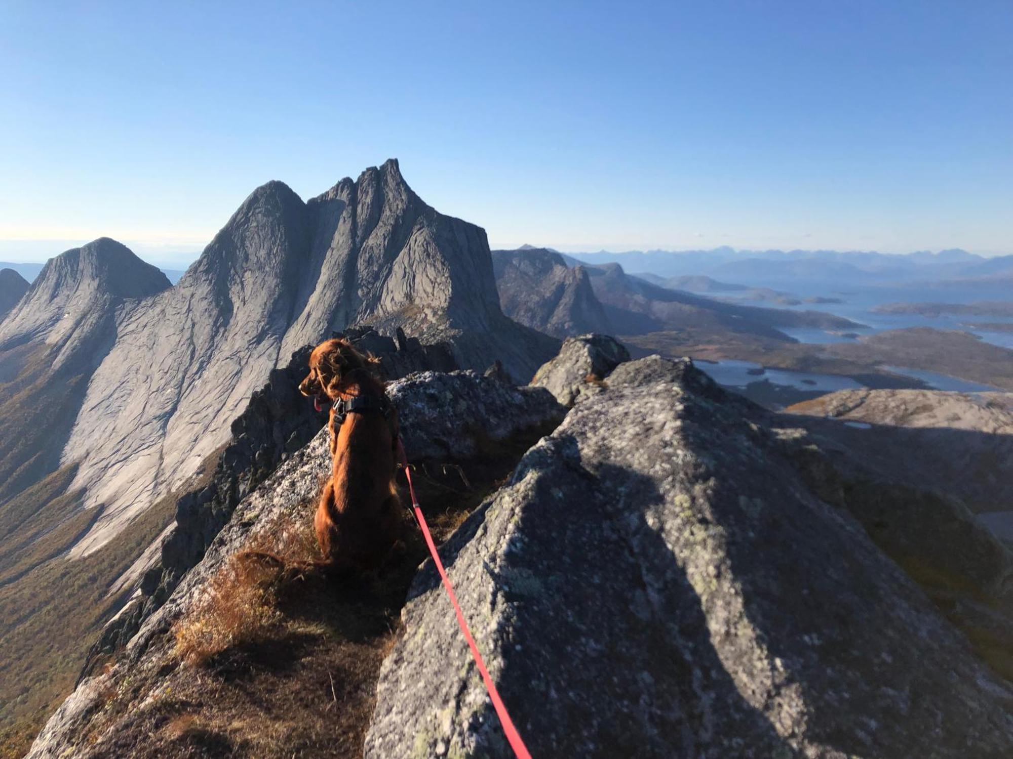 Efjord And Stetind Resort - Cabin Kobbernestinden Ballangen المظهر الخارجي الصورة