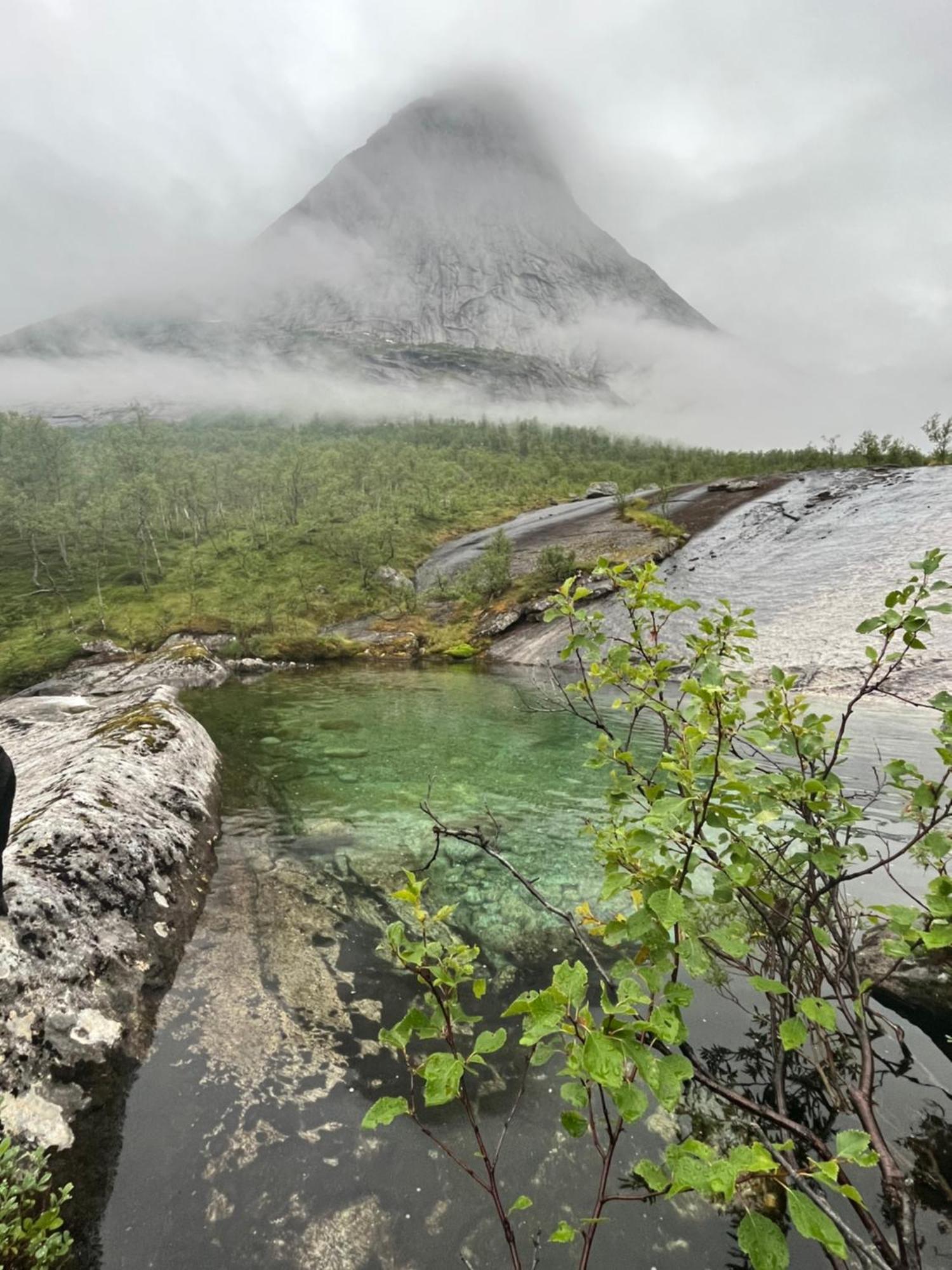 Efjord And Stetind Resort - Cabin Kobbernestinden Ballangen المظهر الخارجي الصورة