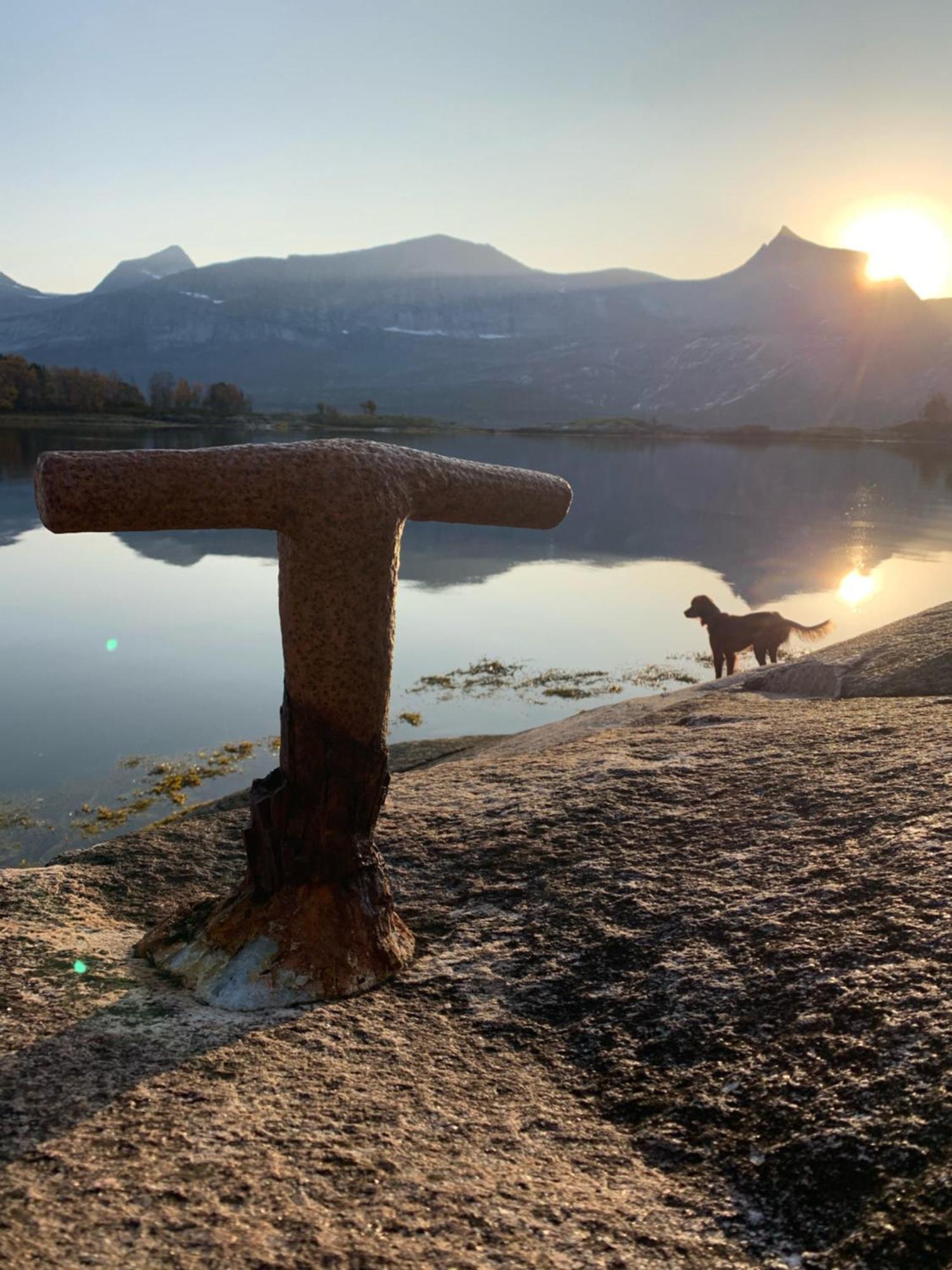Efjord And Stetind Resort - Cabin Kobbernestinden Ballangen المظهر الخارجي الصورة